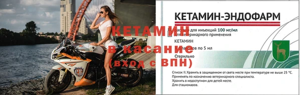 трава Верея