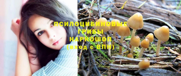 трава Верея