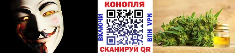 магазин продажи   Янаул  Бошки марихуана сатива 